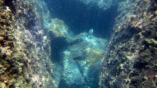 Koh Samui Snorkel- Coral Cove