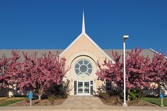 Local LDS church in full bloom