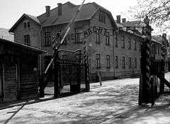 Europe - Poland / Auschwitz and Birkenau