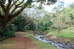 Kauai - McBryde Gardens, Hawaii