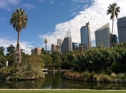 view of the CBD from the Royal Botanic Gardens