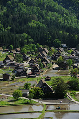 Shirakawago (白川郷・五箇山の合掌造り集落)