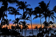 Aloha State: Hawaii