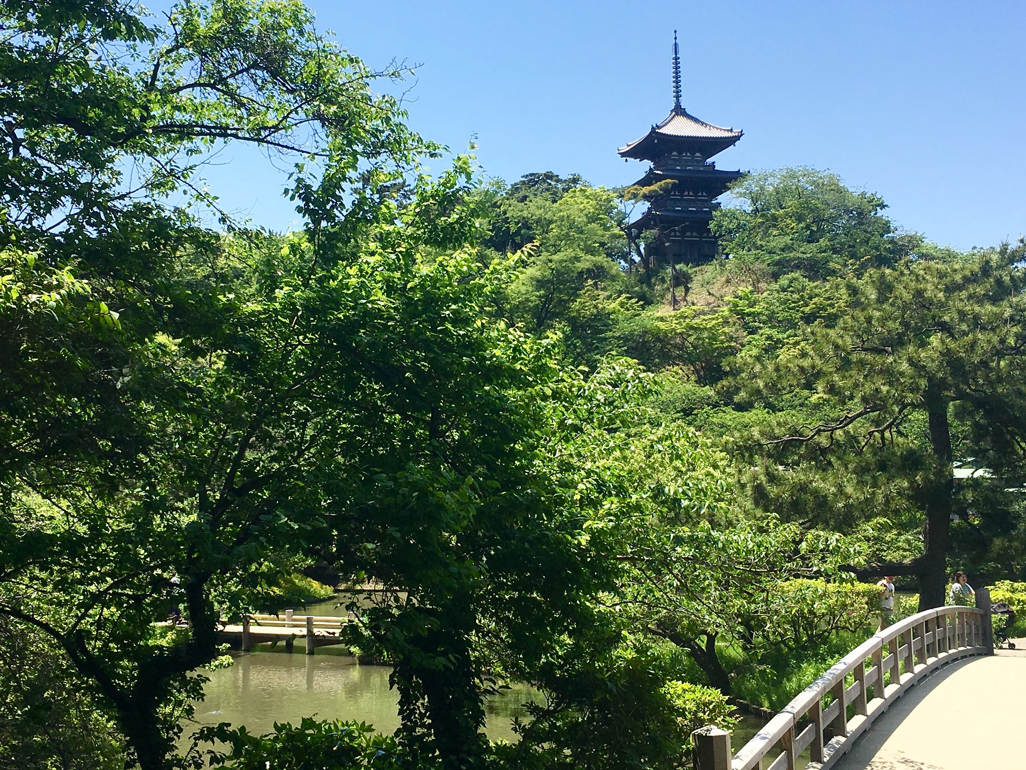 Sankeien Gardens - Kanagawa