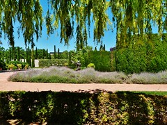 Jardín de las Hespérides - Paseo de la Pechina - Valencia