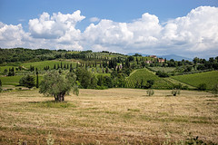 Tuscany ~ 2015