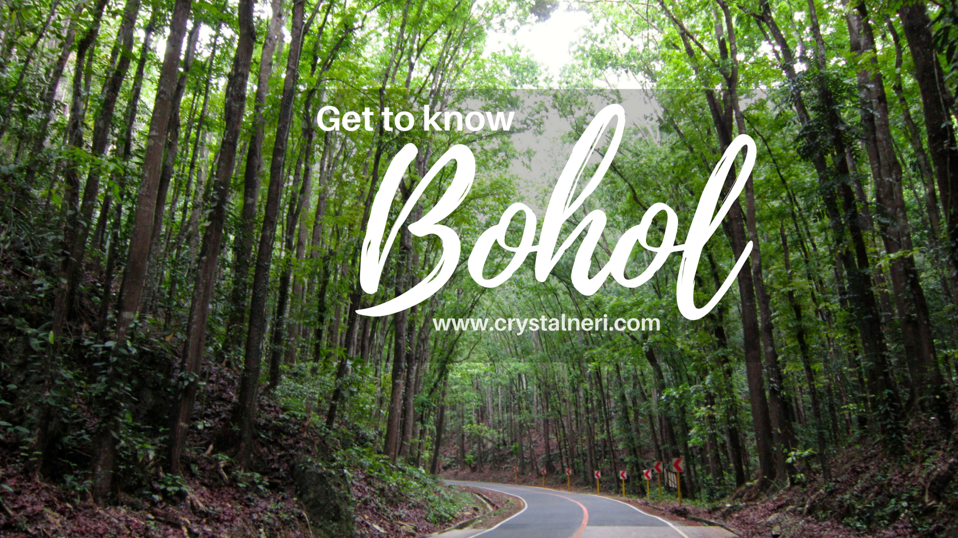 bohol-philippines-what-to-do-1
