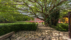 Hacienda Temozón, Yucatán
