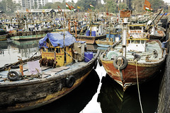 Mumbai Sassoon Docks