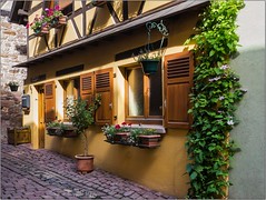 Eguisheim - Alsace - (Haut-Rhin)