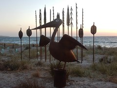 Sculpture by the Sea (Brighton SA)