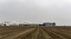 Poland Steam