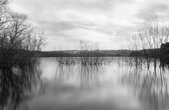 The Water Margin: Swinsty Reservoir