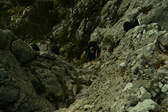 Ανάβαση Πάρνηθας-κόψη Φλαμπουράκι (13-1-2019)