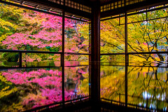Kyoto - Autumn