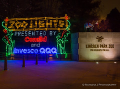 ZooLights at the Lincoln Park Zoo, Chicago
