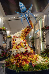 Macys Flower Show, Union Square, Wandering