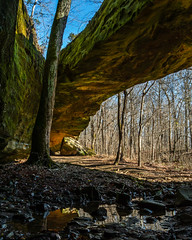 Mantle Rock Nature Preserve - Kentucky