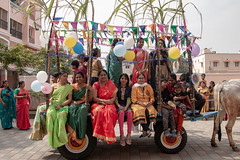 Pongal Festival- 2019
