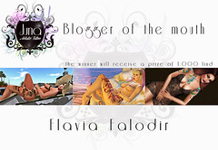 Blogger of the month                    