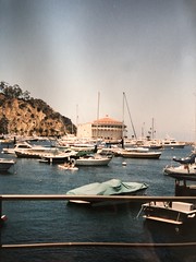 Catalina 2000
