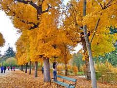 Fall Season at Schönbrunn Palace in Vienna