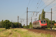 SNCF 36000 Astride