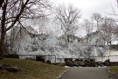Frosty Glen Park - Amherst, New York - February 2019