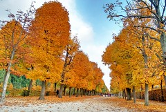 Autumn Season in Schönbrunn Palace Garden
