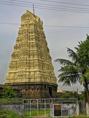 2014 SI Ekambareswarar Temple