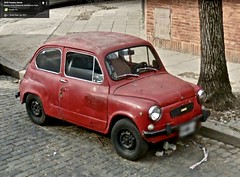 Fiat-Concord
