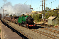 Steam Trains in NSW