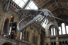 Natural History Museum 15th March 2019