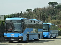 SITA-BusITALIA buses