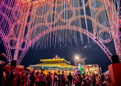 2019台灣燈會(2019 TAIWAN LANTERN FESTIVAL IN PINGTUNG  )