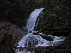 Coal Creek Falls 12-30-18