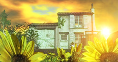 SL LANDSCAPES & PRETTY THINGS
