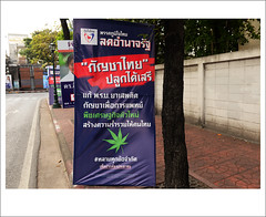 Bangkok Election Posters 2019