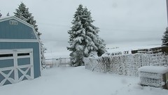 Snow - December 2, 2018