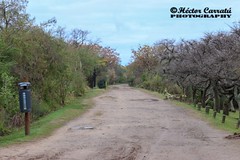 Reserva Ecológica Costanera Sur 2016
