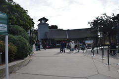 San Francisco Zoo February 23, 2019