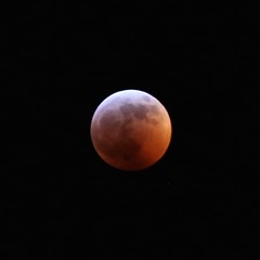 Blood wolf moon eclipse.