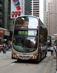 Trams And Buses.