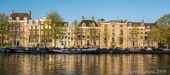 Amsterdam and Keukenhof   2015