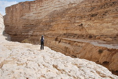 Israël - En Avedat National Park & Maktesch Crater