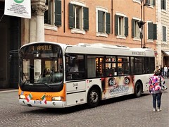 TPER (ex ATC/ACFT) Bologna - Ferrara buses