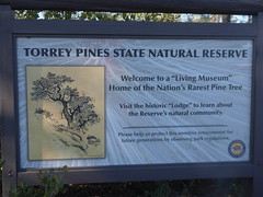 Torrey Pines State Natural Reserve CA Feb 2019