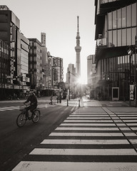 Japan 2019: Street and Reportage