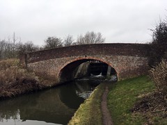Grand Union Canal (Long Buckby) 16/02/19