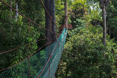 2019 April Bukit Gemok, Tawau.